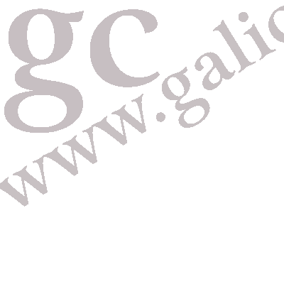 Galicia Consulting GC - Fondo escritorio gris